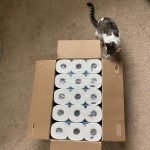 Amazon Basics 2-Ply Toilet Paper, 6 Rolls (Pack of 5), 30 Rolls total (Previously Solimo)